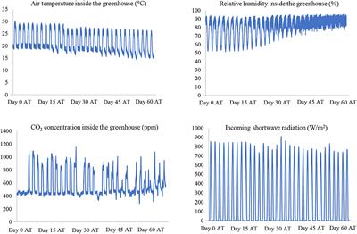 Evaluation of evapotranspiration models for cucumbers grown under CO2 enriched and HVAC driven greenhouses: A step towards precision irrigation in hyper-arid regions